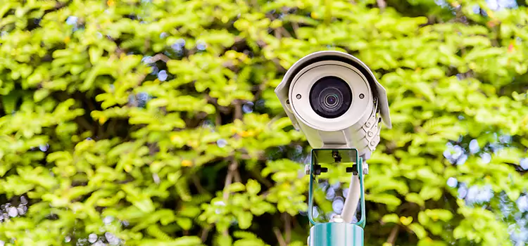 Advanced Surveillance Solutions for Every Need in Weatherford